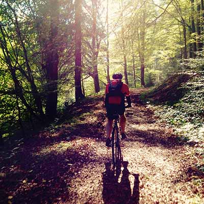 Radfahren durch den Wald